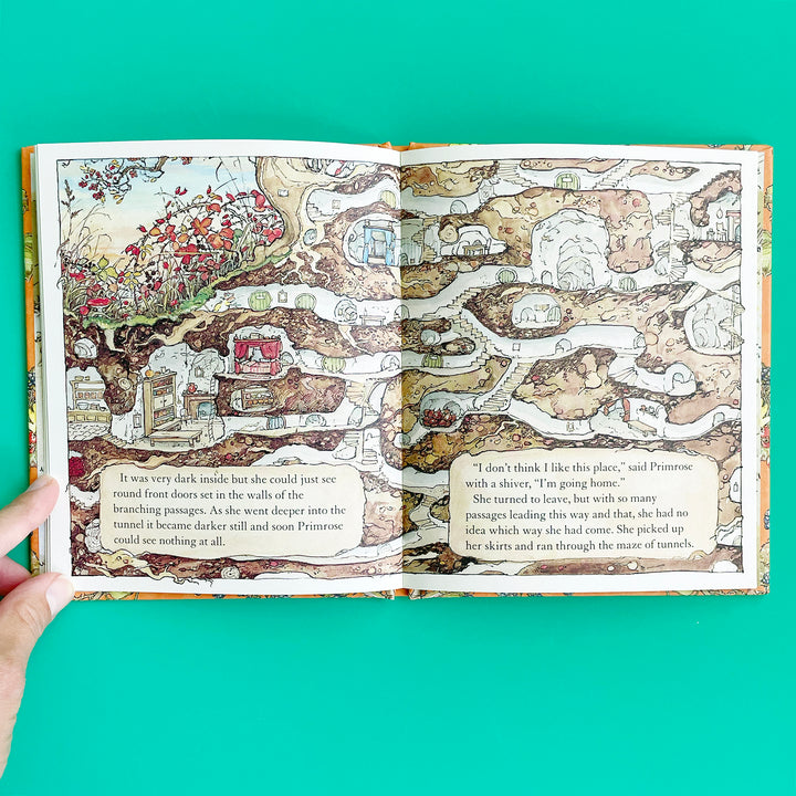 Autumn Story (Brambly Hedge)