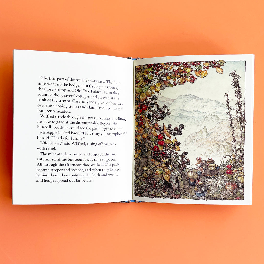 The High Hills (Brambly Hedge)
