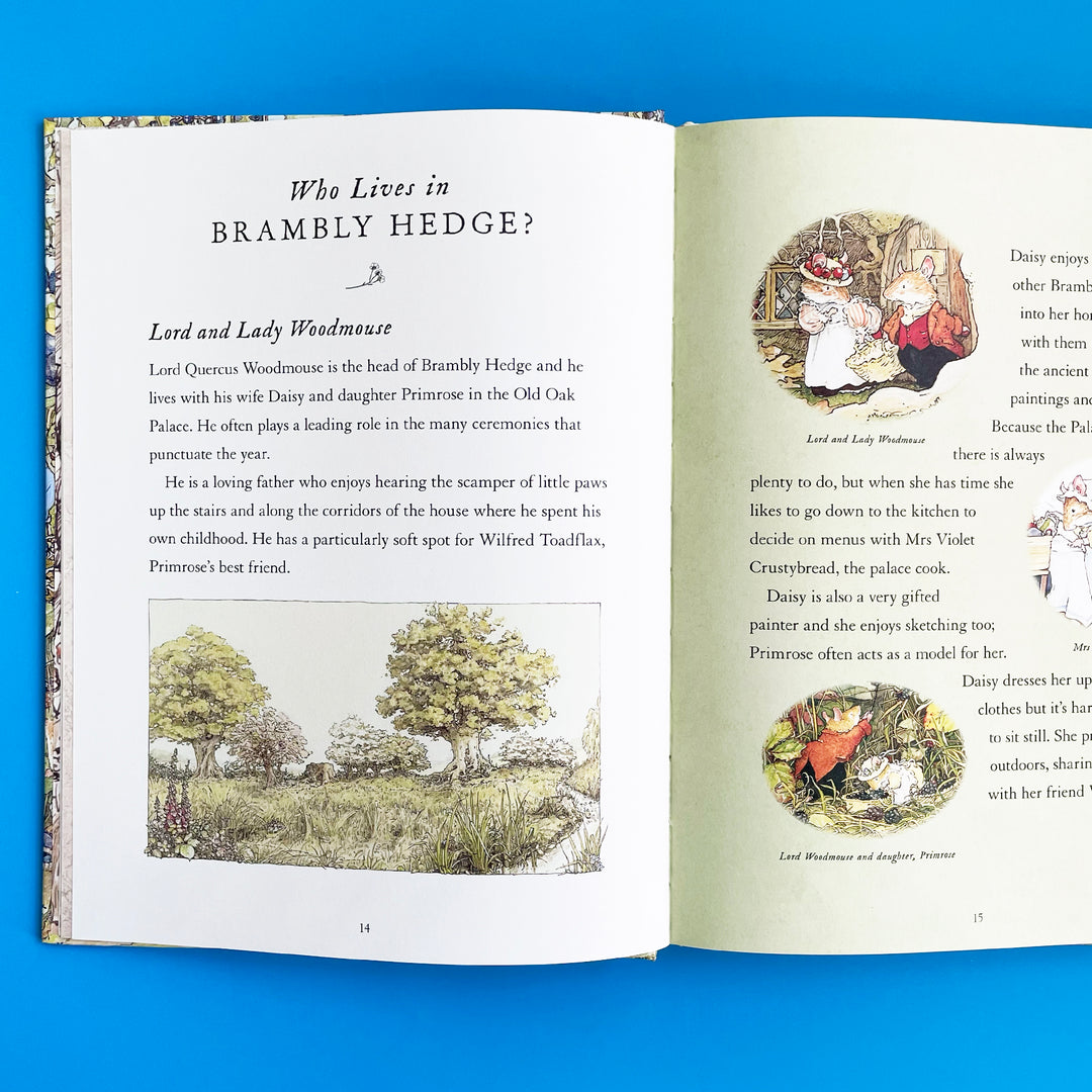 A Visit to Brambly Hedge