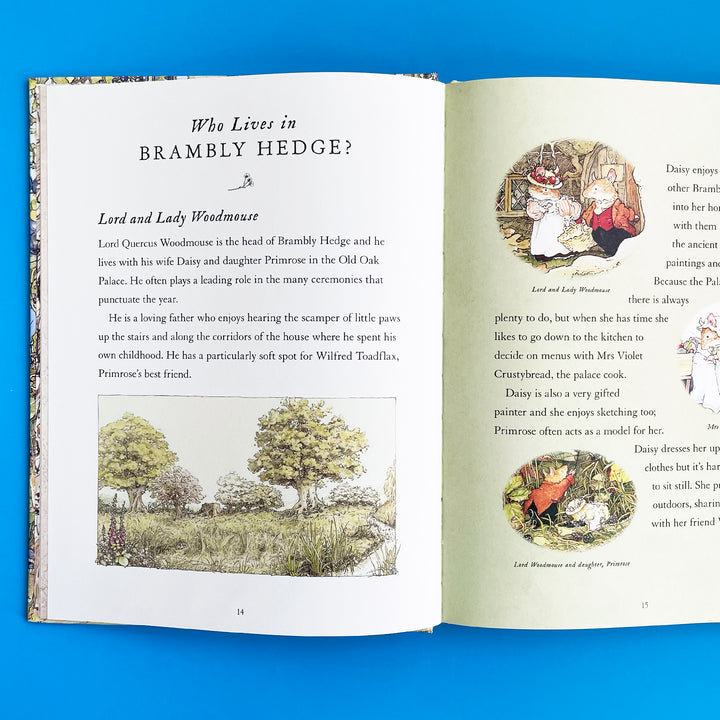 A Visit to Brambly Hedge