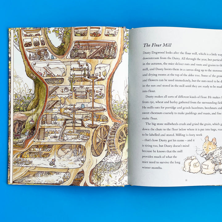 A Visit to Brambly Hedge