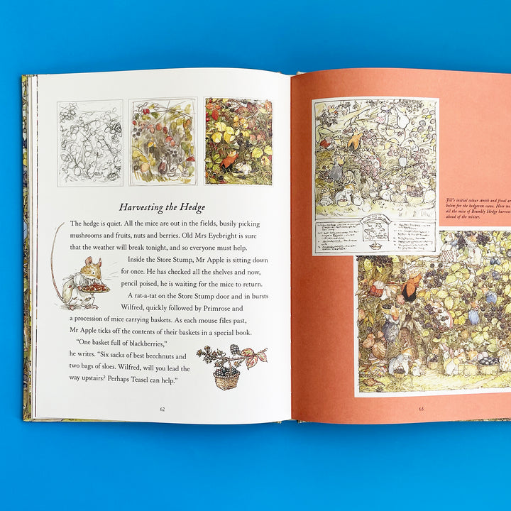 A Visit to Brambly Hedge