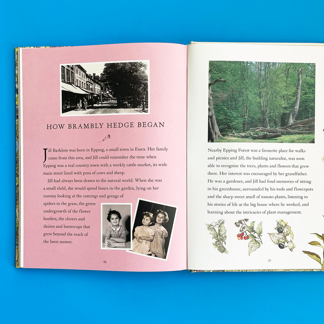 A Visit to Brambly Hedge