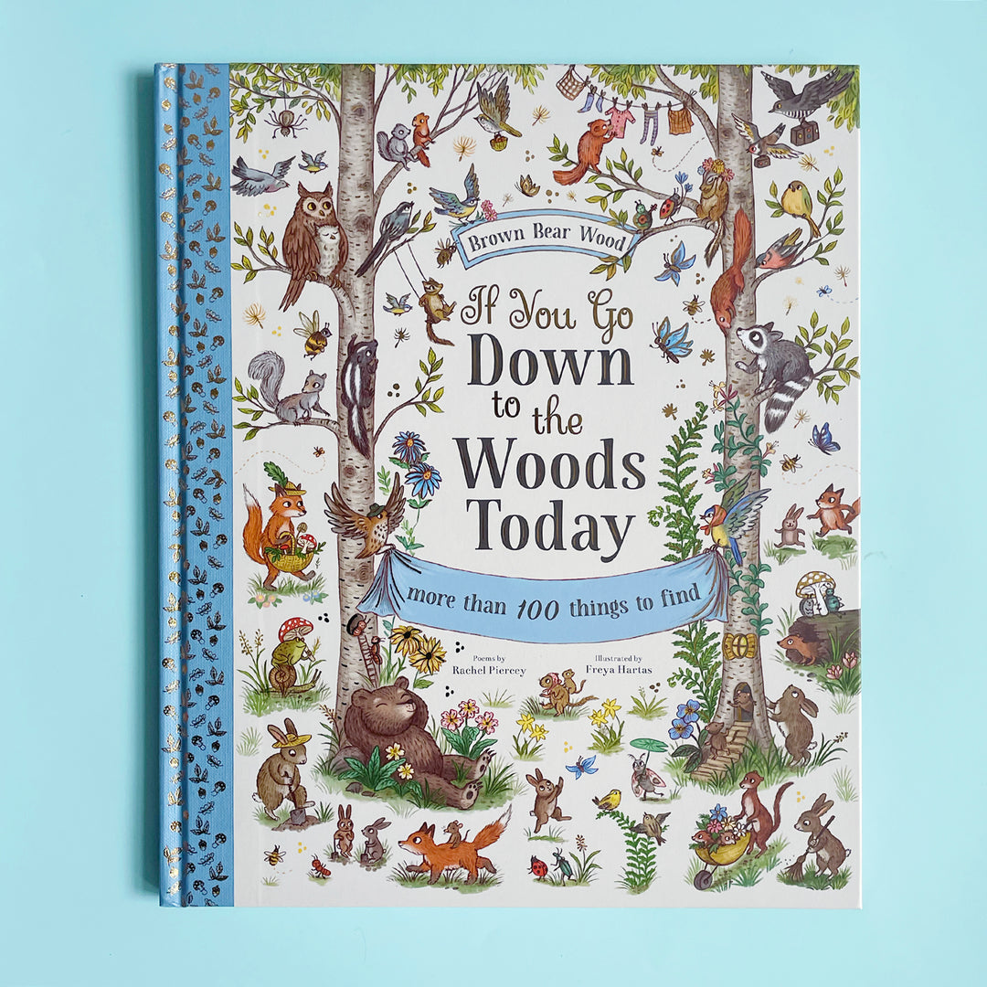 Brown Bear Wood Seek and Find