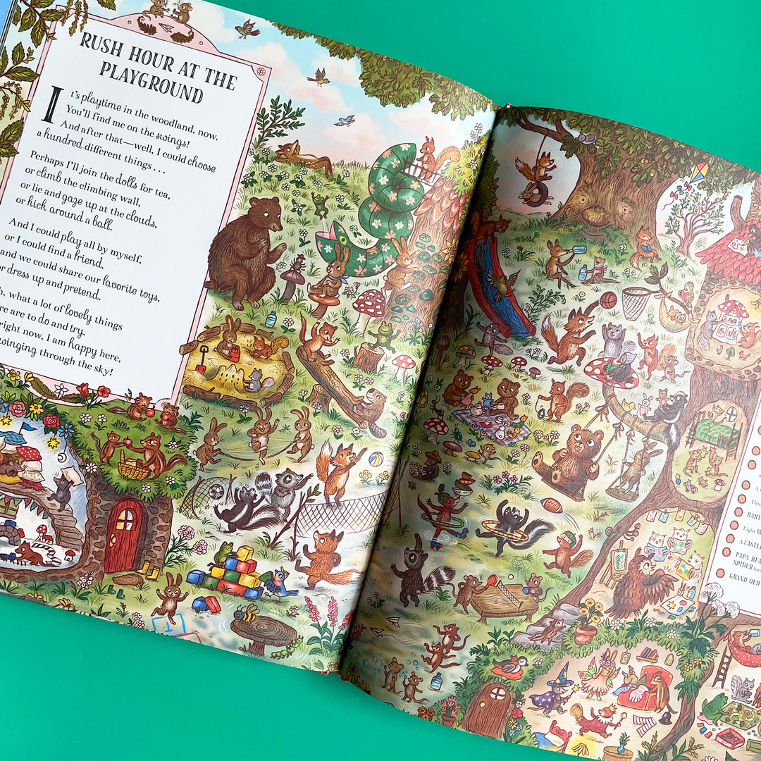 Brown Bear Wood Seek and Find