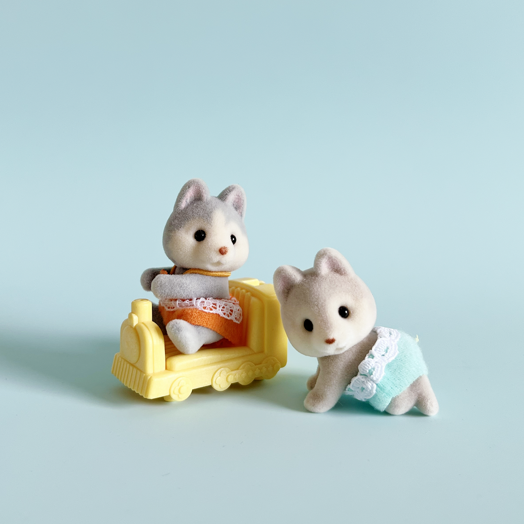 Baby Animal Twins