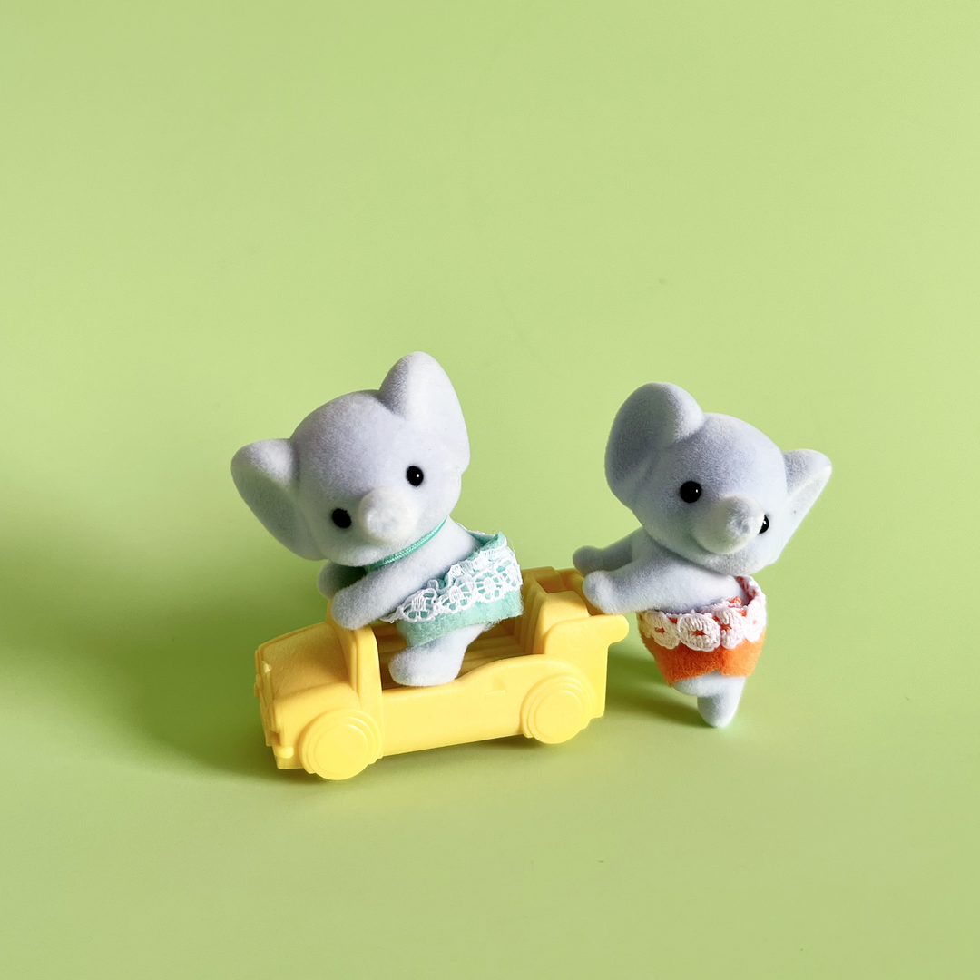 Baby Animal Twins