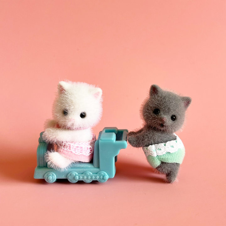 Baby Animal Twins