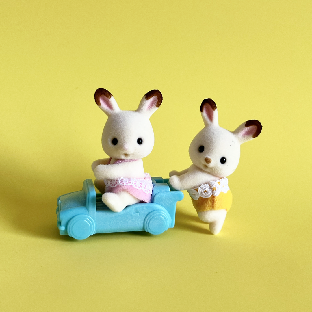 Baby Animal Twins