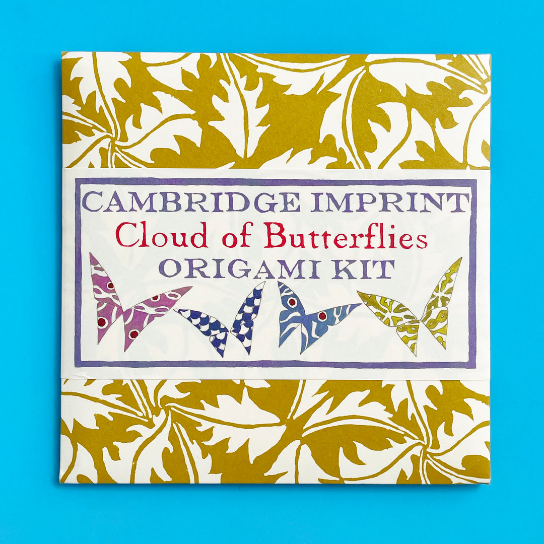 Cloud of Butterflies Origami Kit