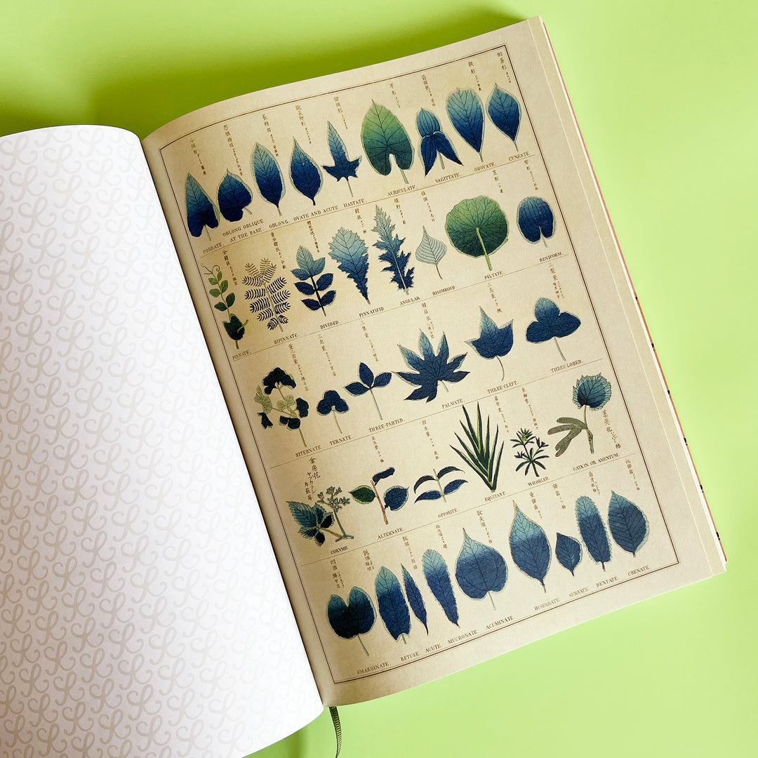 The Collage Compendium