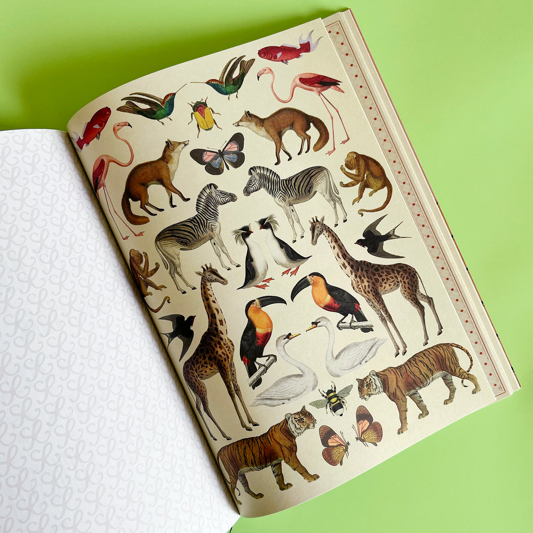 The Collage Compendium