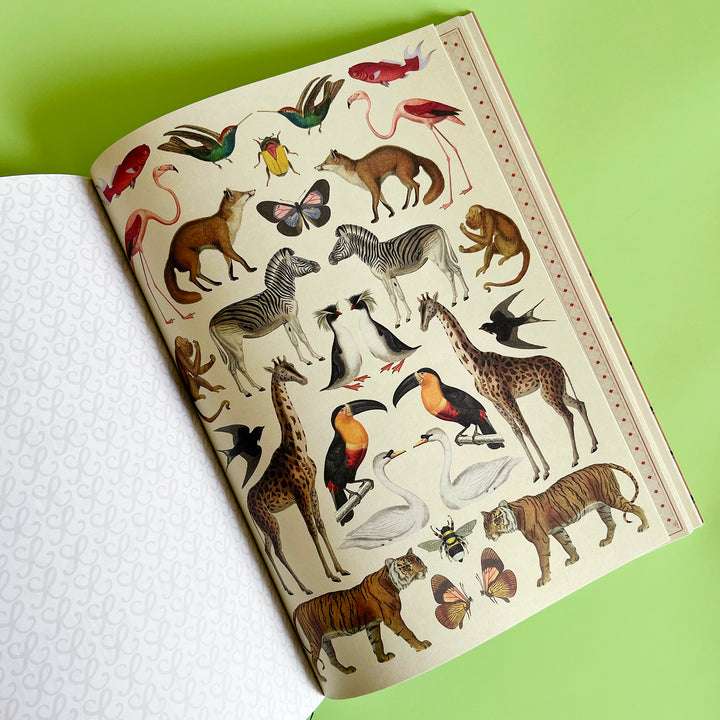 The Collage Compendium