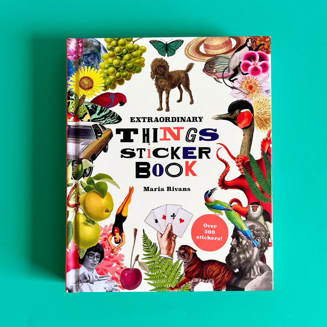 Extraordinary Things Sticker Book
