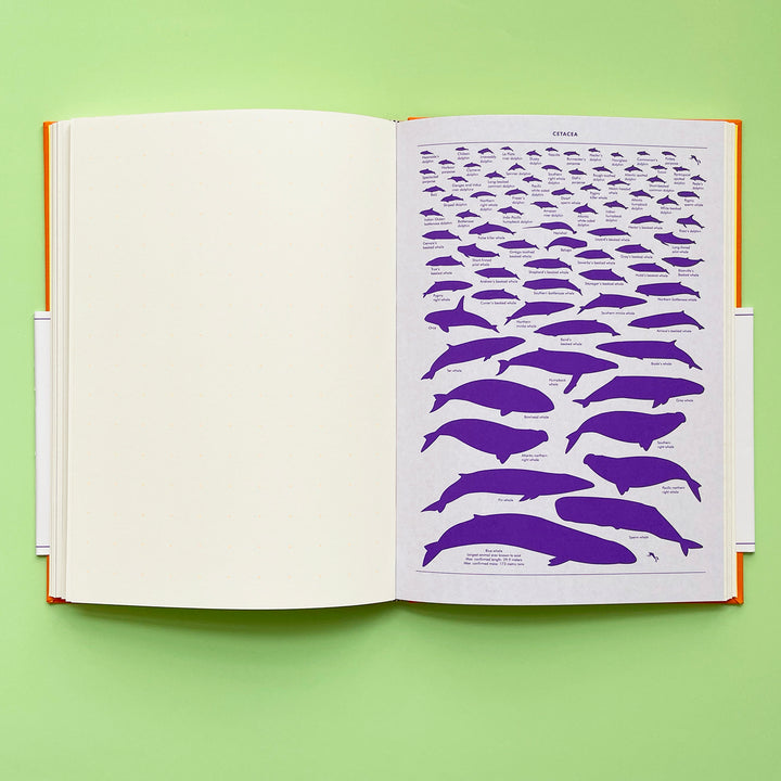 Grids and Guides: A Notebook for Visual Thinkers