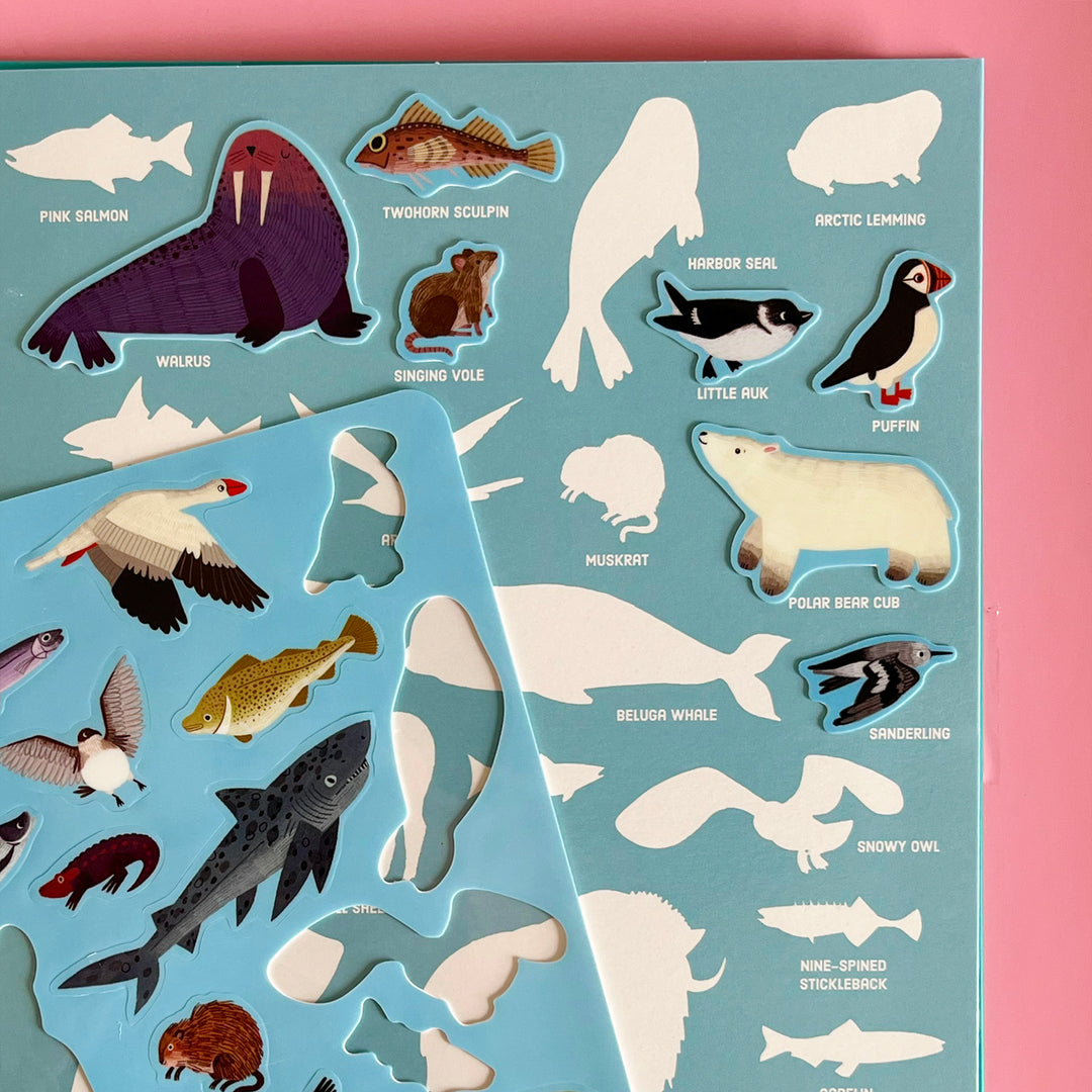 Arctic Life Sticker Play