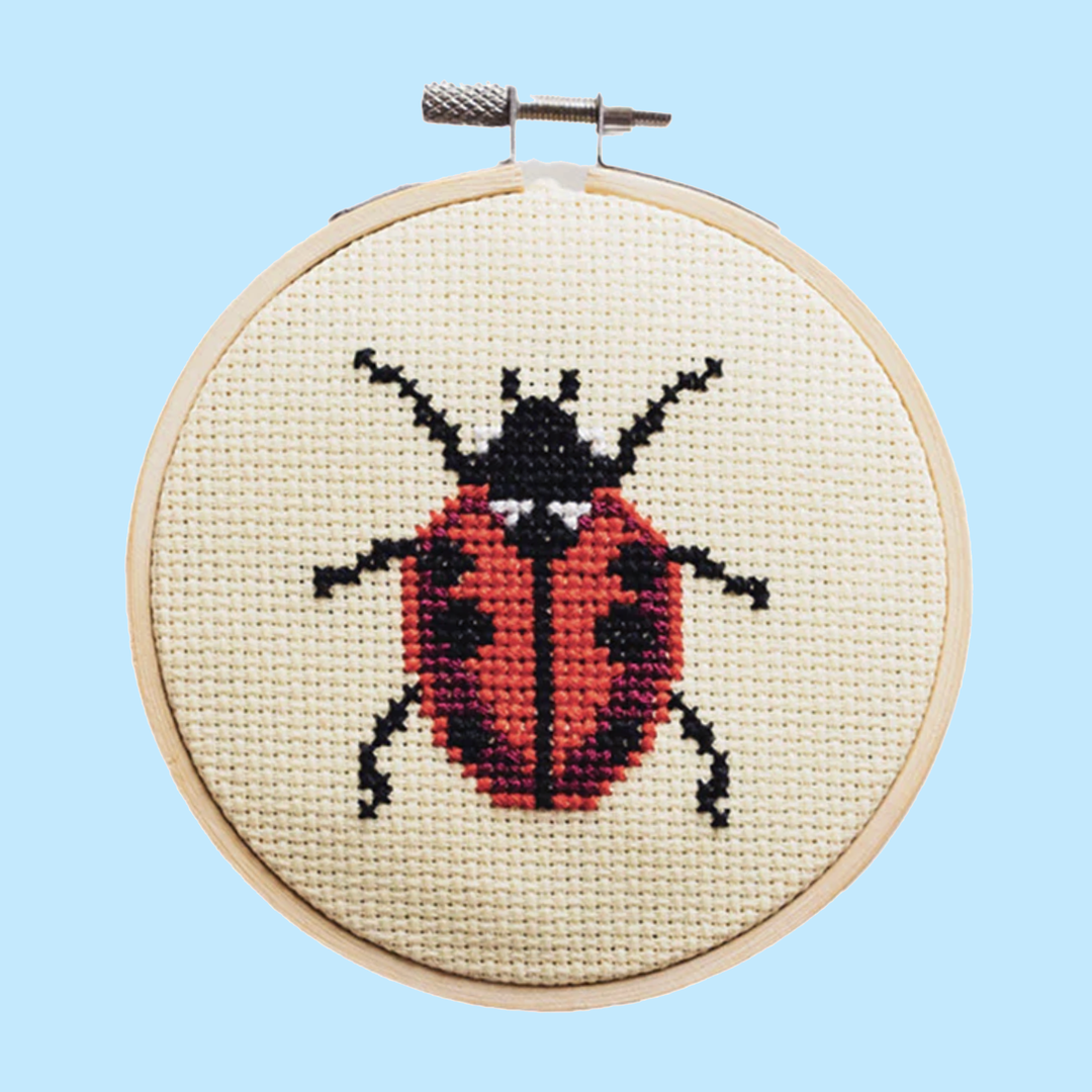 Ladybug Beginner Cross Stitch Kit