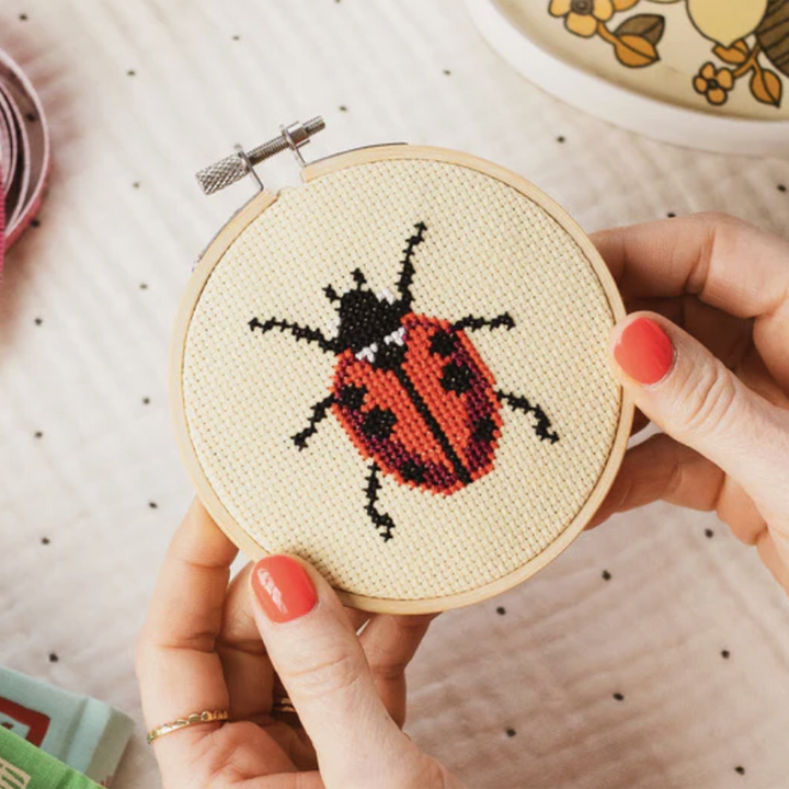 Ladybug Beginner Cross Stitch Kit