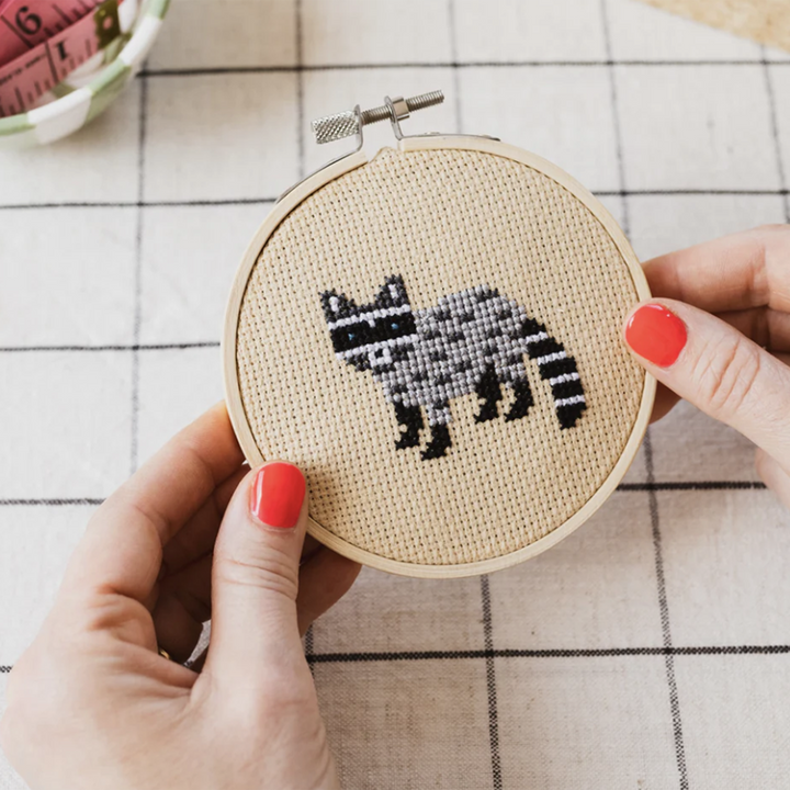 Raccoon Cross Stitch Kit
