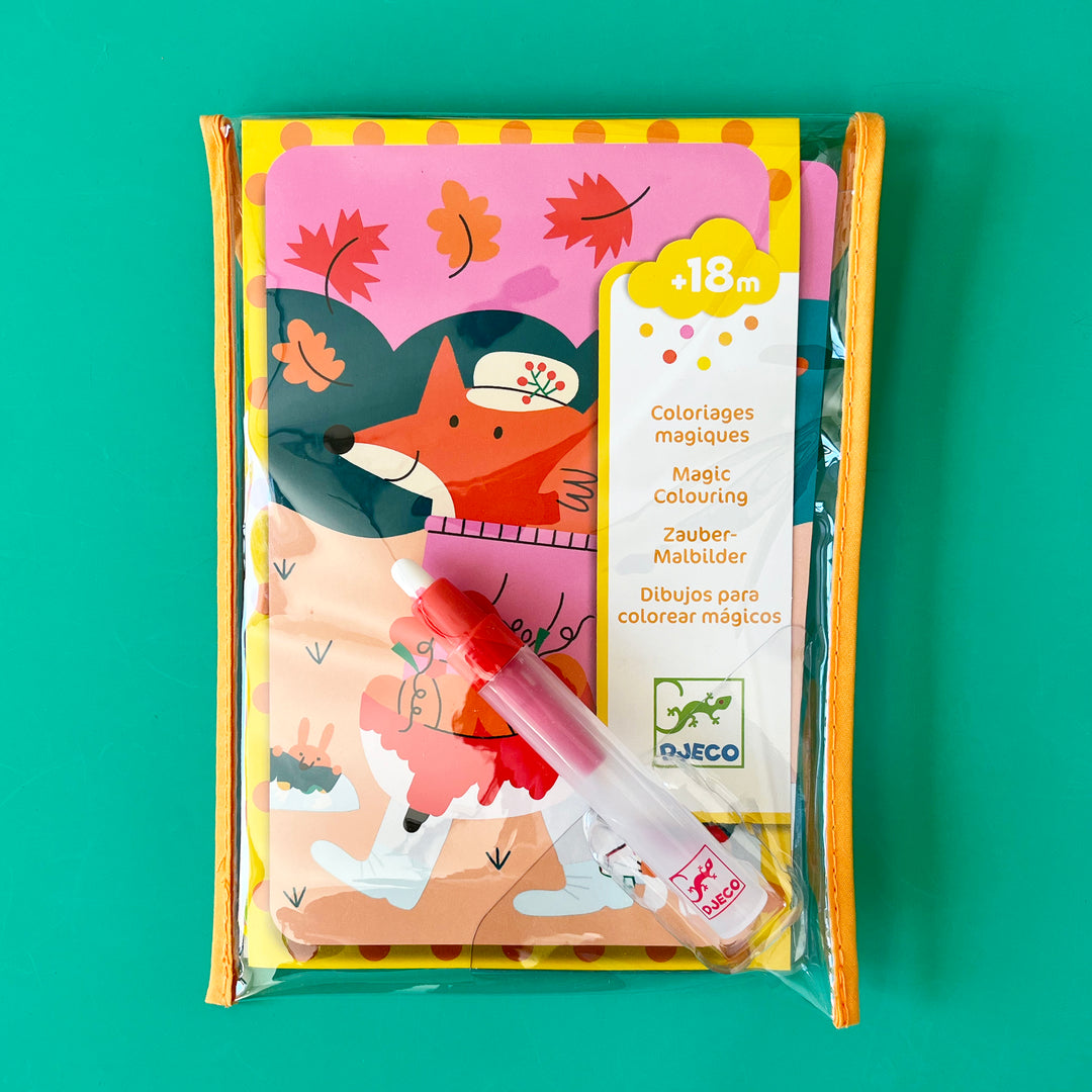 Animal Seasons Painting With Water Kit