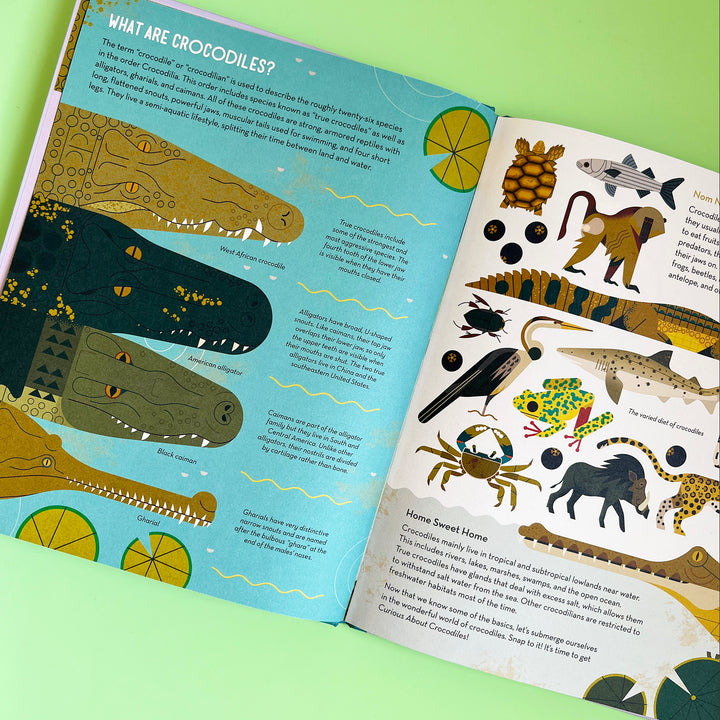 Curious About Crocodiles
