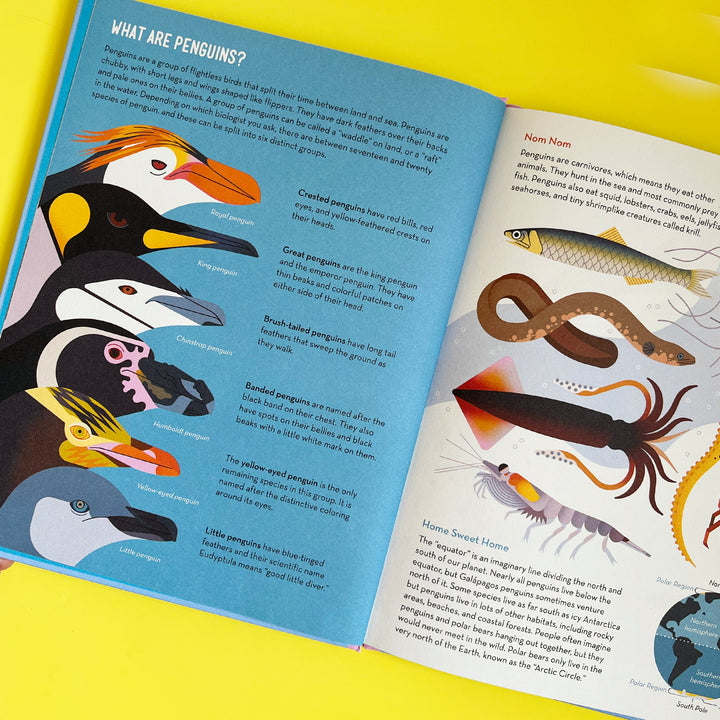 Passionate About Penguins