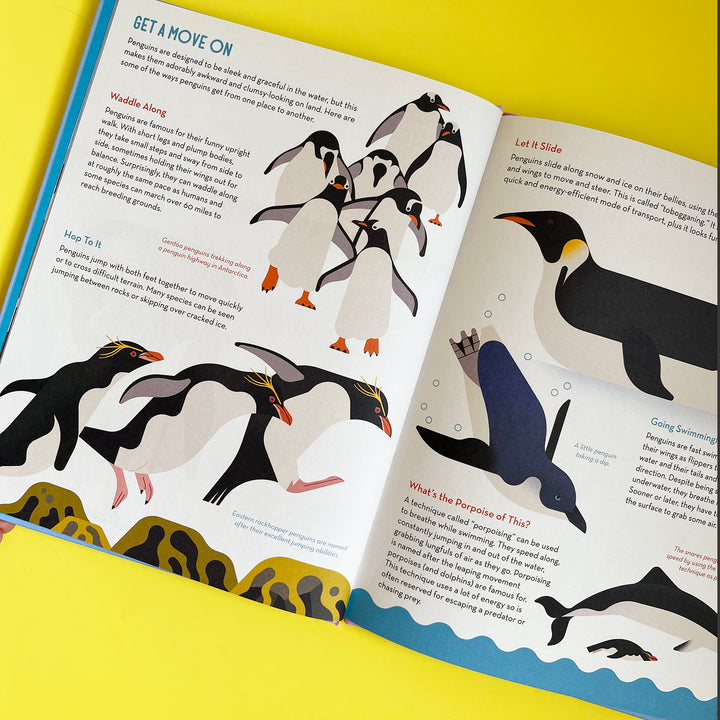 Passionate About Penguins