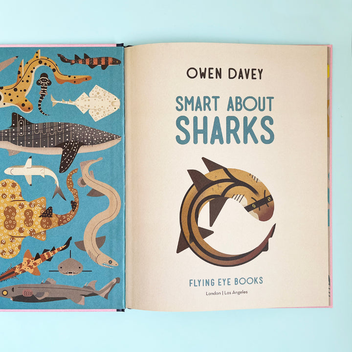 Smart About Sharks