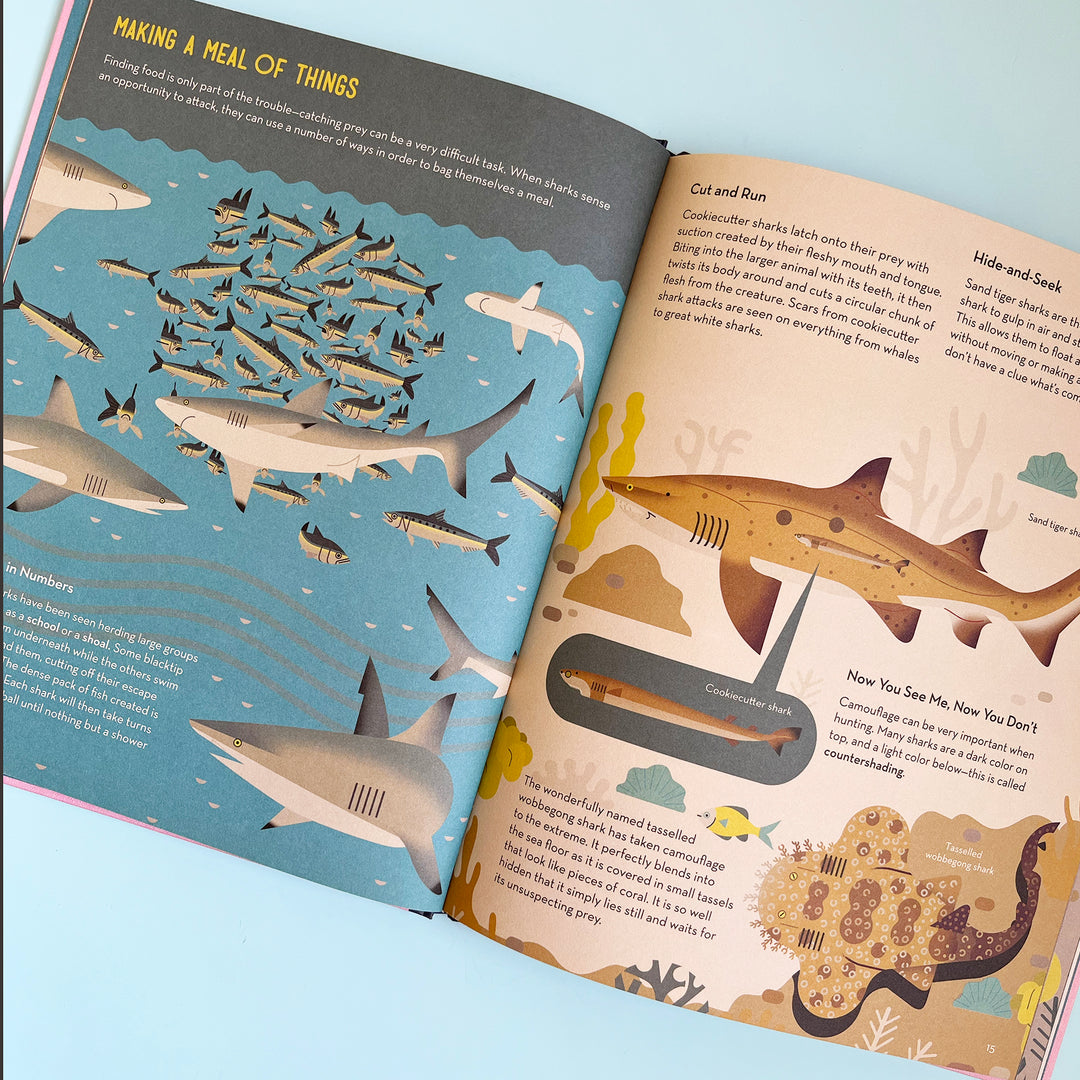 Smart About Sharks