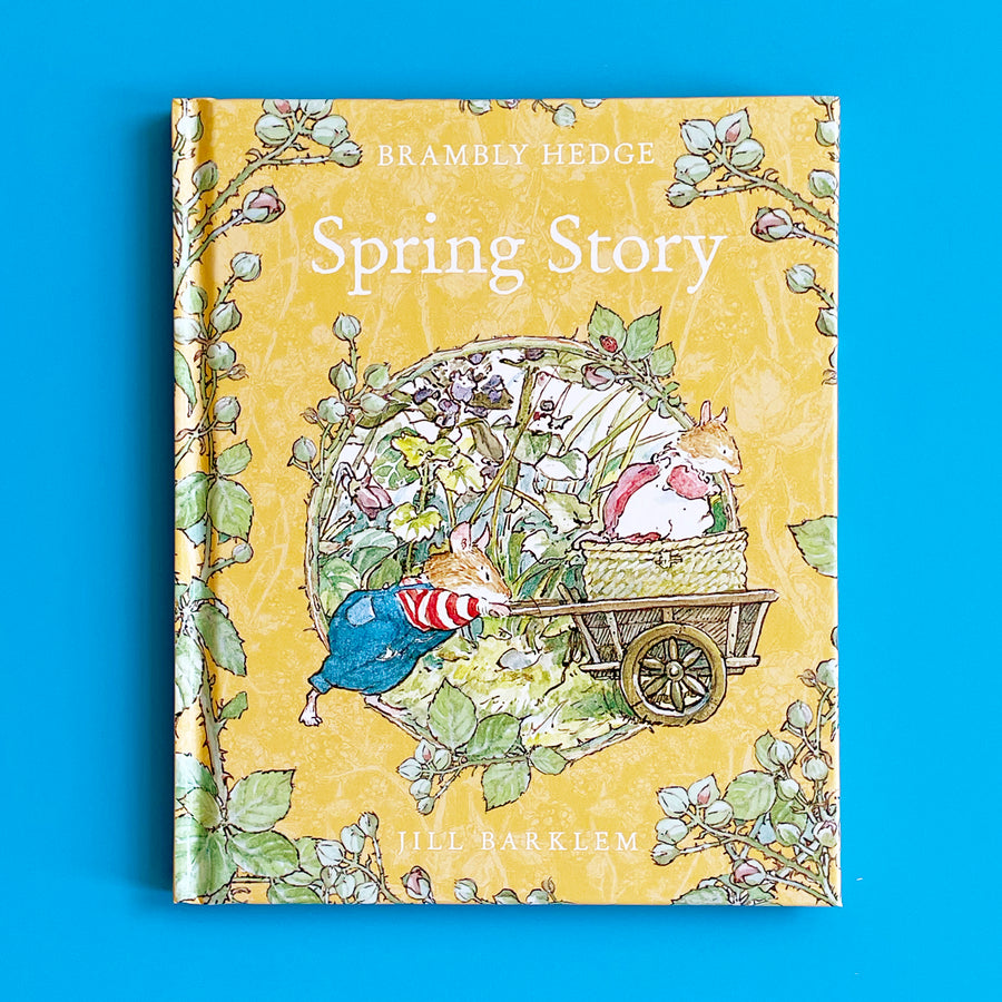 Book titled 'Spring Story' from Brambly Hedge series on a blue background