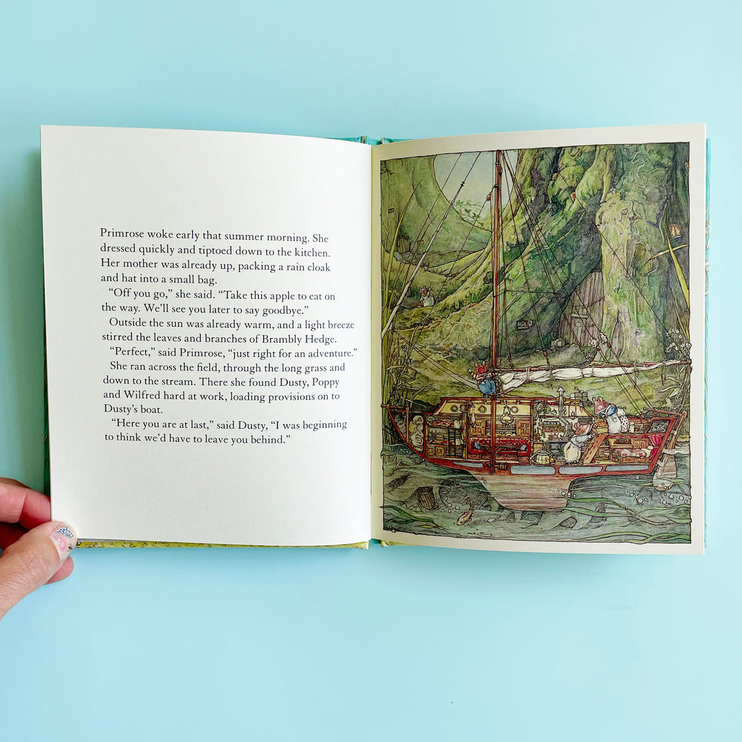 Sea Story (Brambly Hedge)