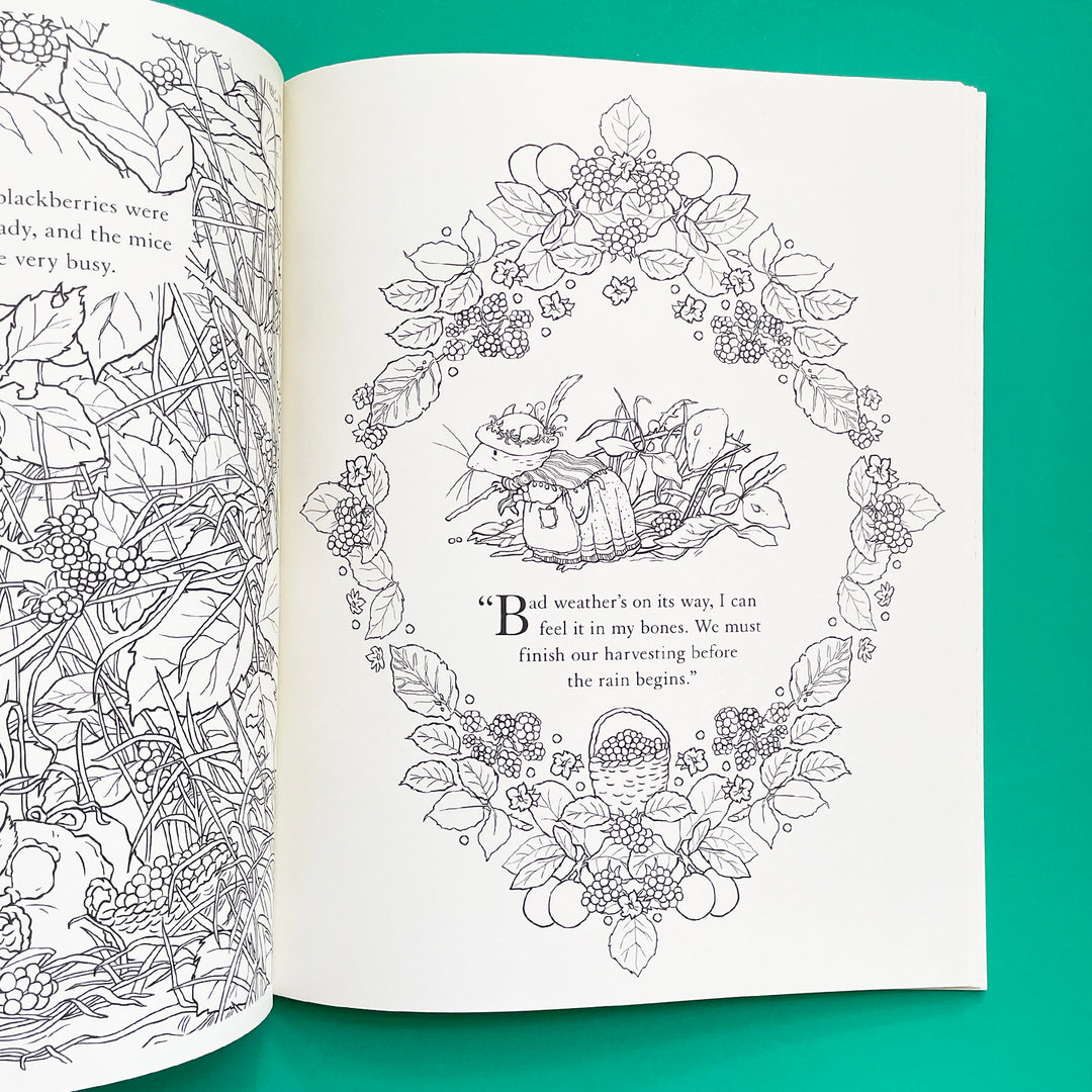 Brambly Hedge: A Festive Coloring Book