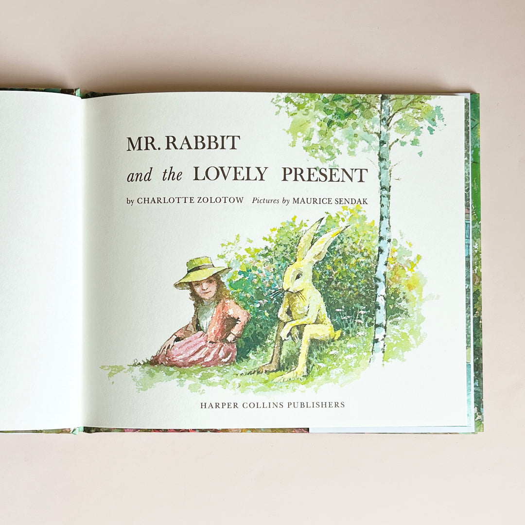 Mr. Rabbit and the Lovely Present
