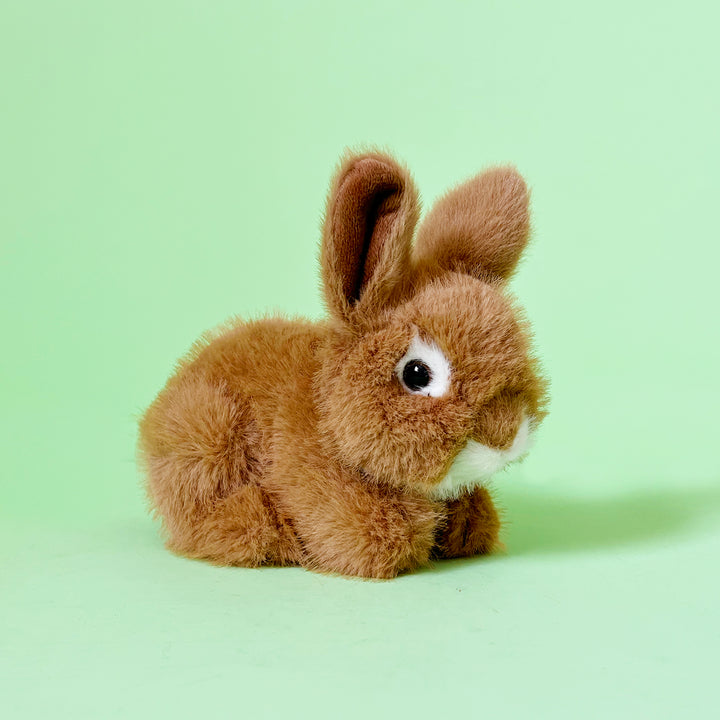Small Stuffed Bunny