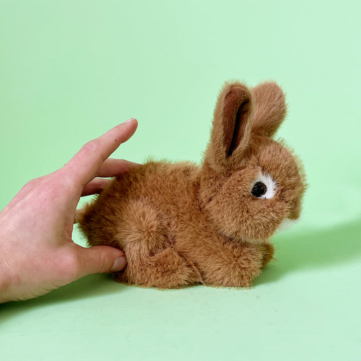 Small Stuffed Bunny