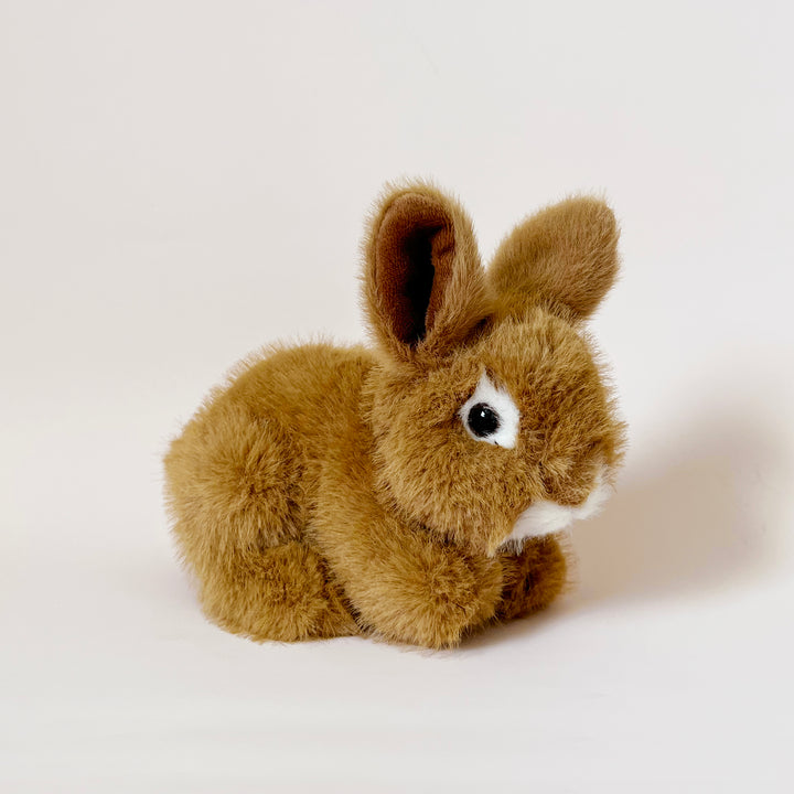 Small Stuffed Bunny