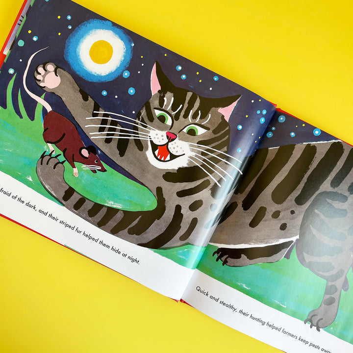 Cats and Us