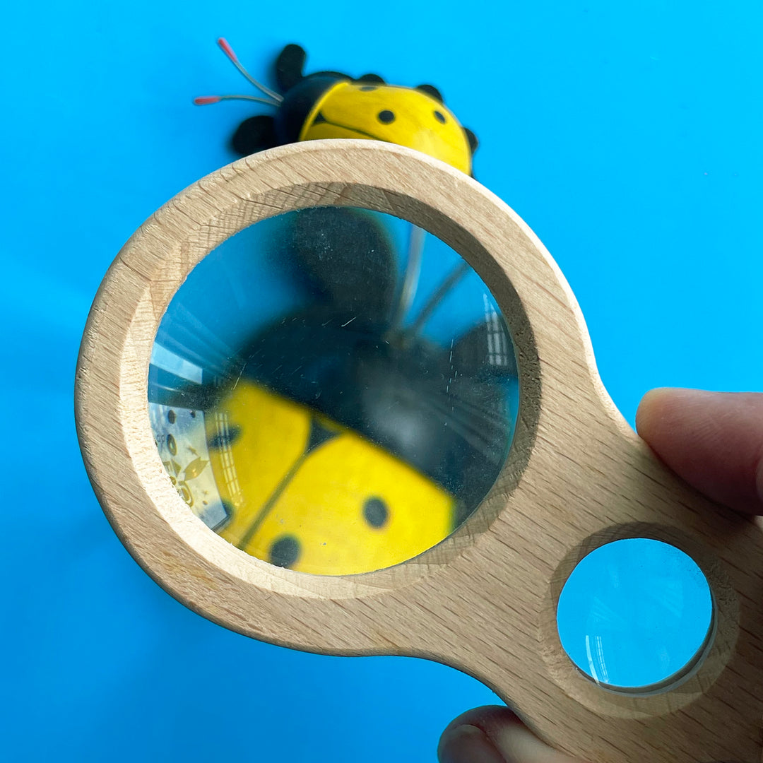 Dual Magnifier