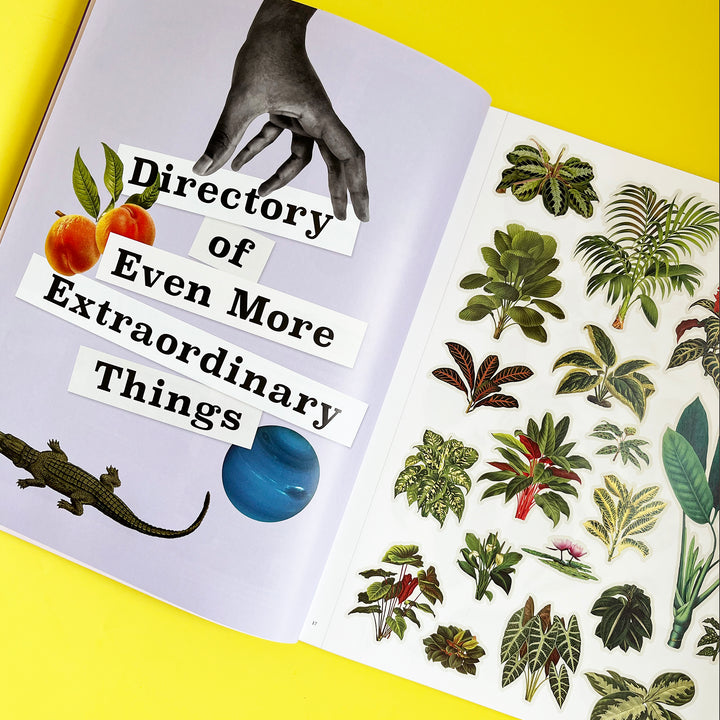 Even More Extraordinary Things to Cut Out and Collage