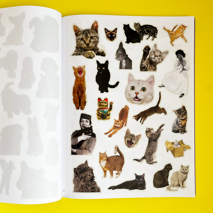 Even More Extraordinary Things to Cut Out and Collage