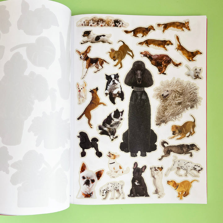 Extraordinary Things to Cut Out and Collage