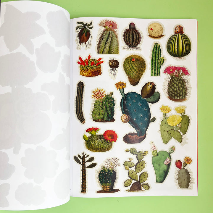 Extraordinary Things to Cut Out and Collage