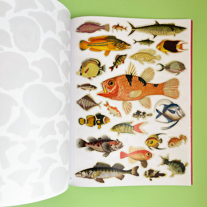 Extraordinary Things to Cut Out and Collage