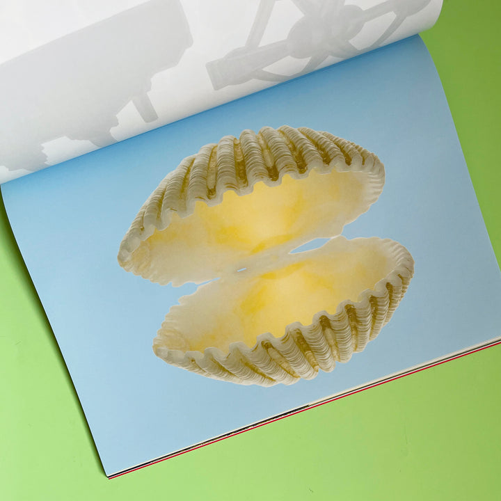 Extraordinary Things to Cut Out and Collage