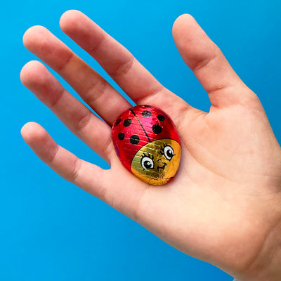 Ladybug Gift Bundle, Ages 4+