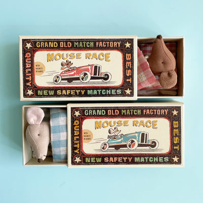 Big Brother Mouse in a Matchbox