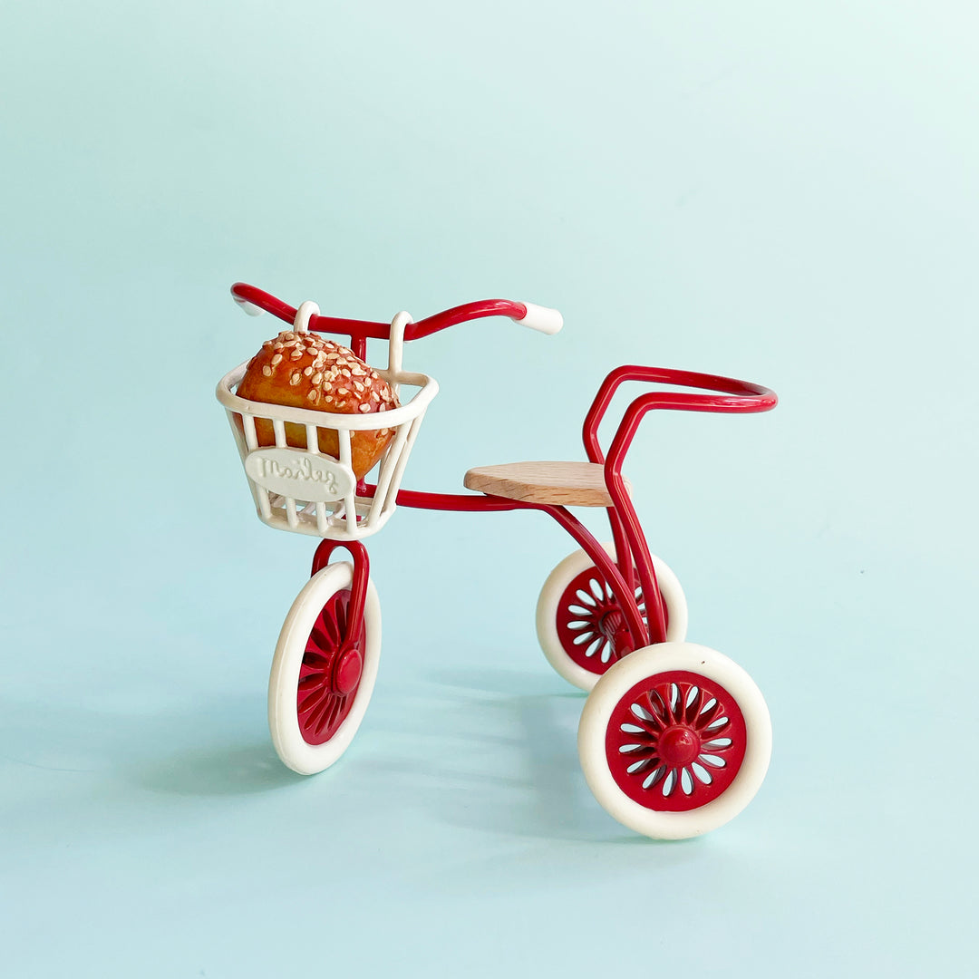 Tricycle Basket