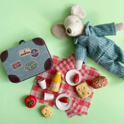 Mini Picnic Set in a Suitcase