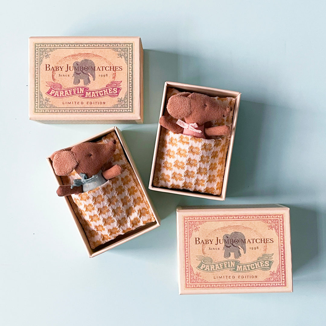 Sleepy Wakey Mouse in a Matchbox