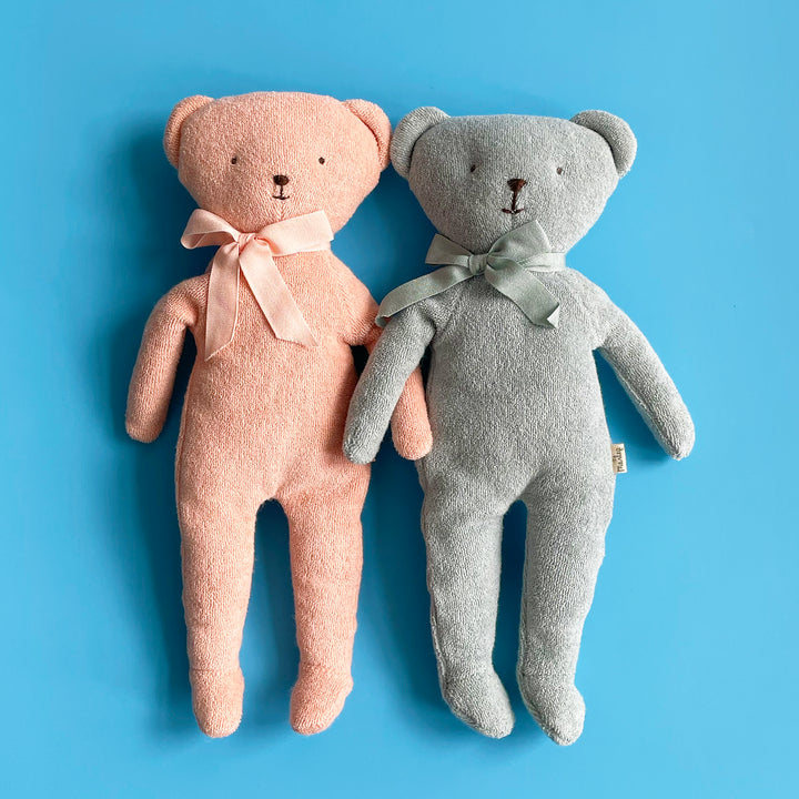 Terry Teddy